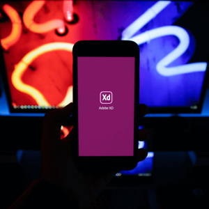 Master WordPress Course