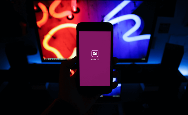 Master WordPress Course