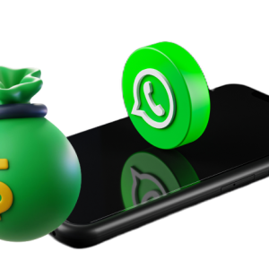 WhatsApp Monetization and Automation course